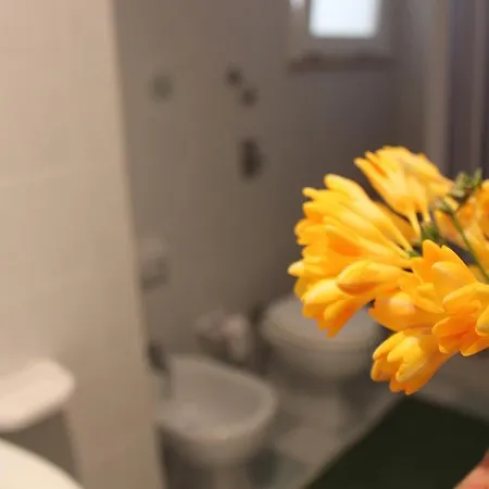 Albachiara B&B B&B 마르살라